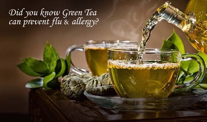 Green tea manufacturers in West Bengal