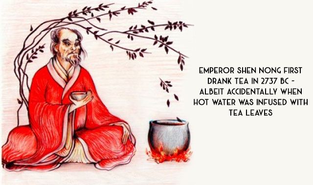 Healthy tea manufacturers in West Bengal